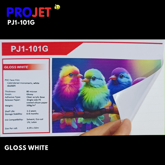 PROJET GLOSS WHITE