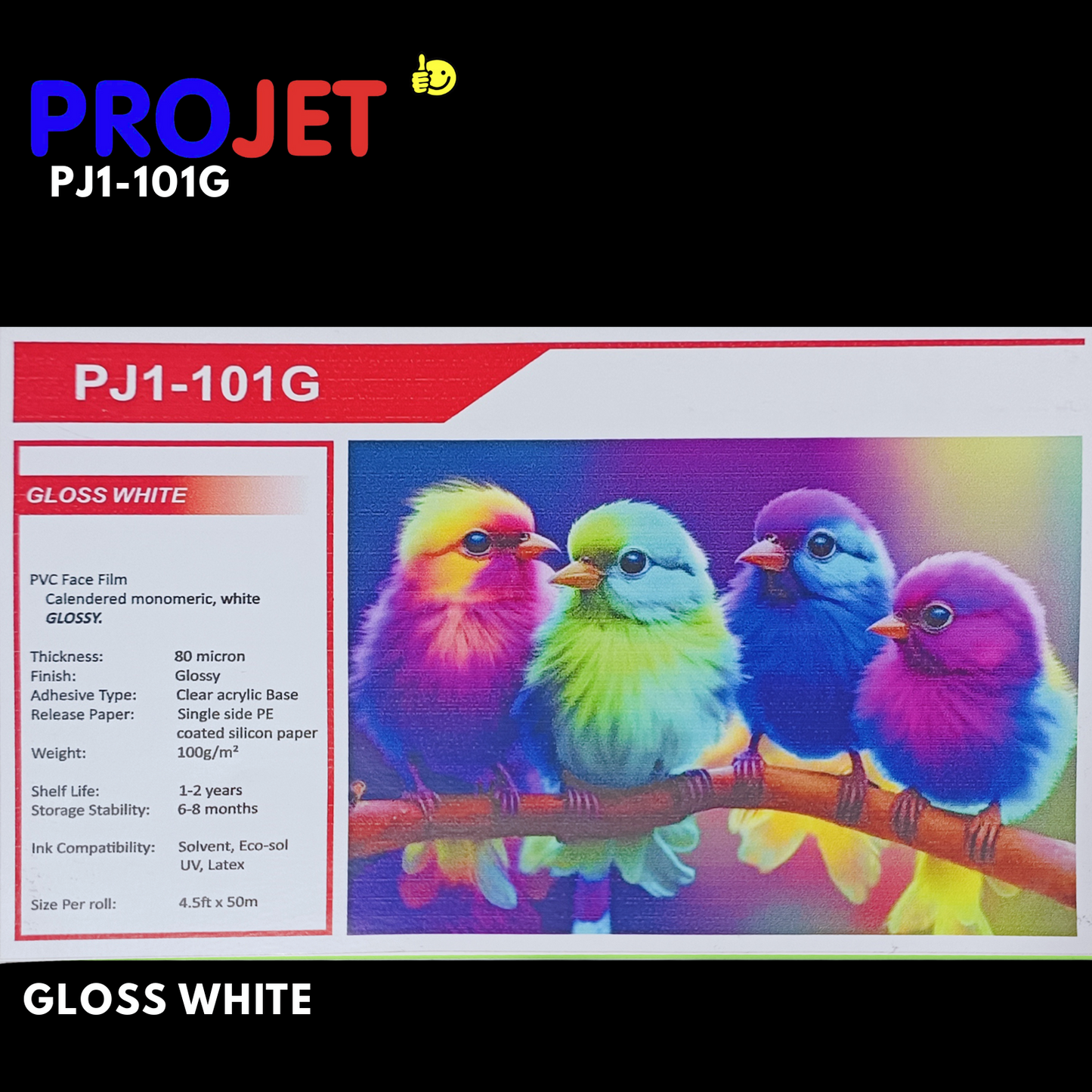PROJET GLOSS WHITE