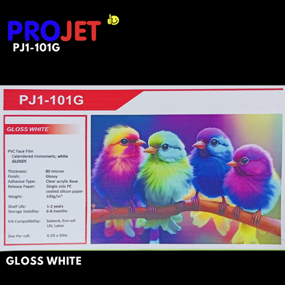 PROJET GLOSS WHITE