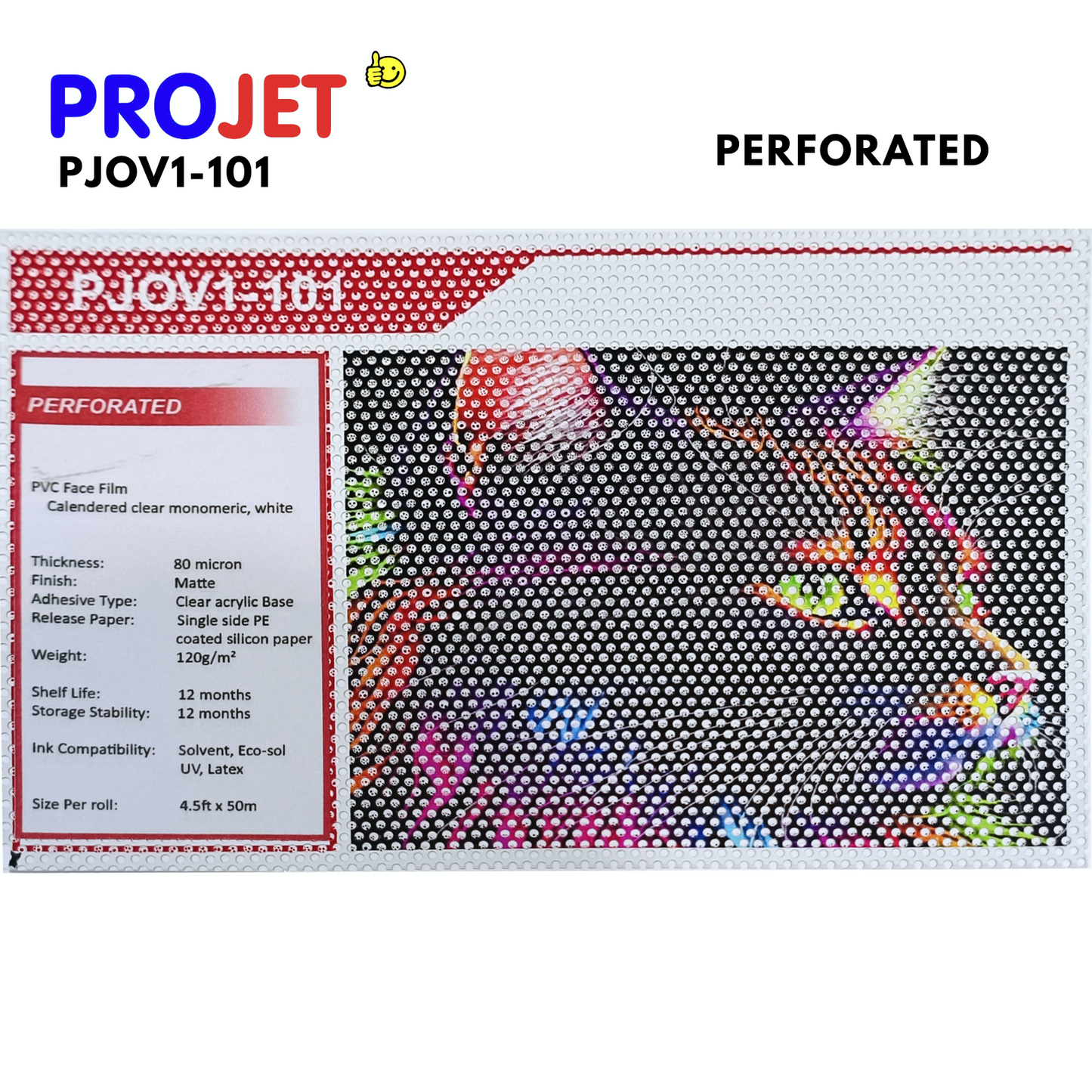 PROJET WHITE PERFORATED