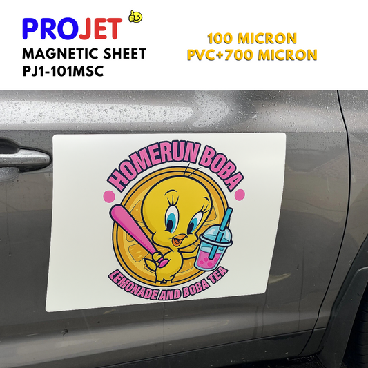 700 MICRON MAGNETIC SHEET (PJ1-101MSC)